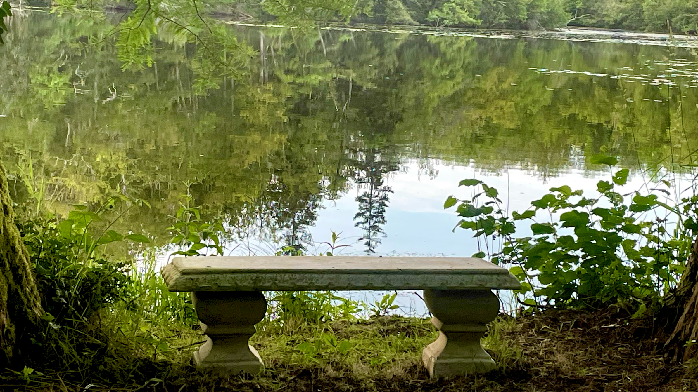 SIESTE ET PROMENADE MUSICALE 